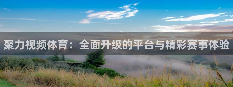 聚力视频体育：全面升级的平台与精彩赛事体验