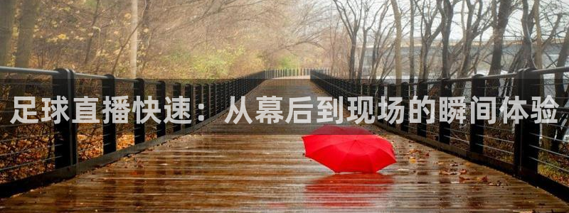 足球直播快速：从幕后到现场的瞬间体验
