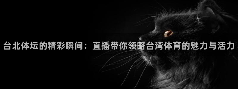 台北体坛的精彩瞬间：直播带你领略台湾体育的魅力与活力