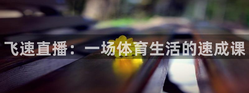 飞速直播：一场体育生活的速成课