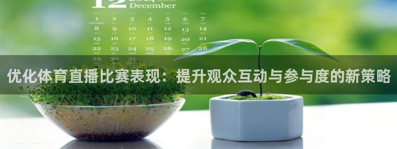 优化体育直播比赛表现：提升观众互动与参与度的新策略