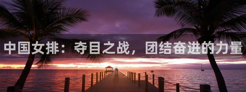 中国女排：夺目之战，团结奋进的力量