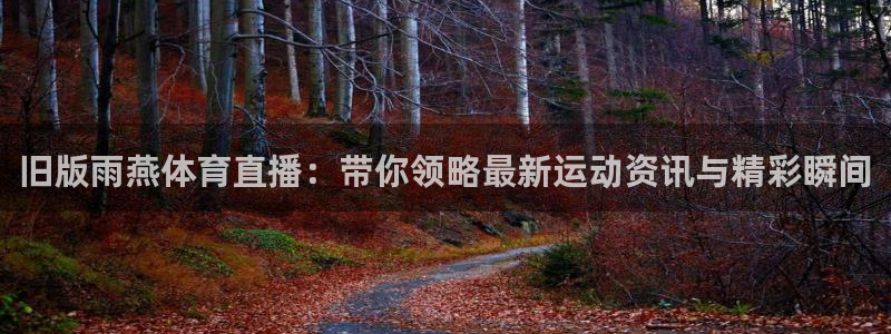 旧版雨燕体育直播：带你领略最新运动资讯与精彩瞬间