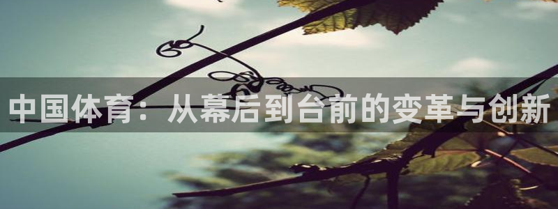中国体育：从幕后到台前的变革与创新