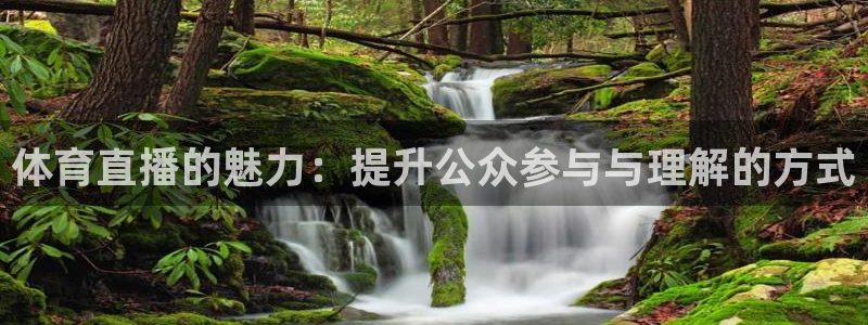 体育直播的魅力：提升公众参与与理解的方式
