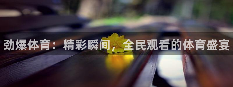 劲爆体育：精彩瞬间，全民观看的体育盛宴