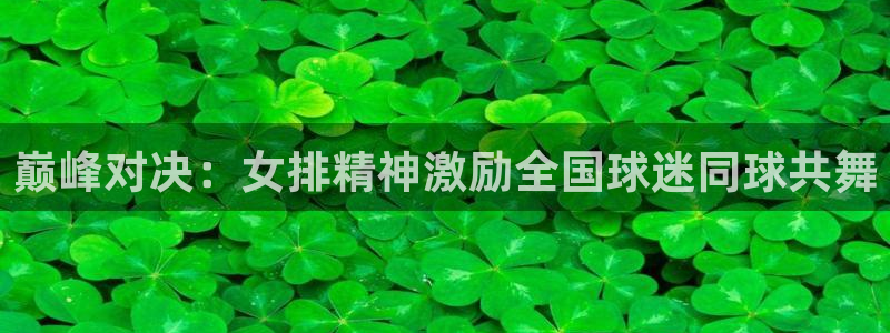 巅峰对决：女排精神激励全国球迷同球共舞
