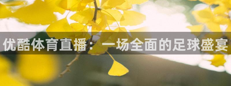 优酷体育直播：一场全面的足球盛宴
