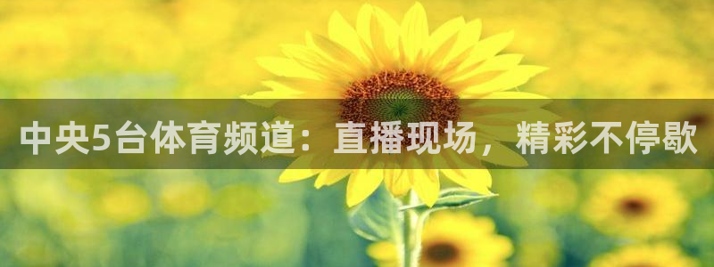 中央5台体育频道：直播现场，精彩不停歇