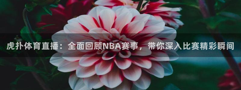 虎扑体育直播：全面回顾NBA赛事，带你深入比赛精彩瞬间