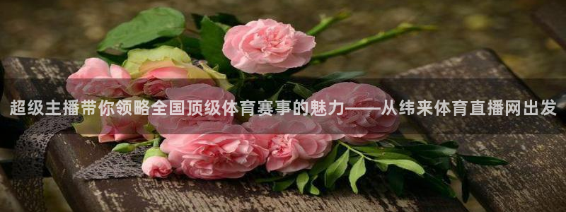 超级主播带你领略全国顶级体育赛事的魅力——从纬来体育直播网出发