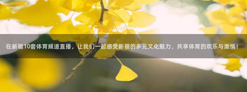 在新疆10套体育频道直播，让我们一起感受新疆的多元文化魅力，共享体育的欢乐与激情！