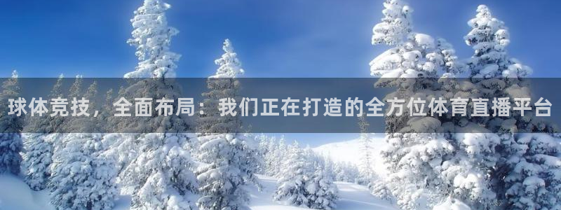 球体竞技，全面布局：我们正在打造的全方位体育直播平台