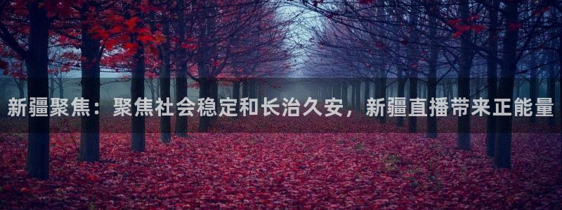 新疆聚焦：聚焦社会稳定和长治久安，新疆直播带来正能量