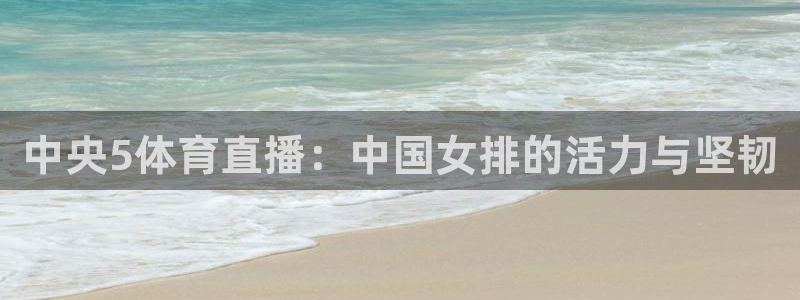 中央5体育直播：中国女排的活力与坚韧