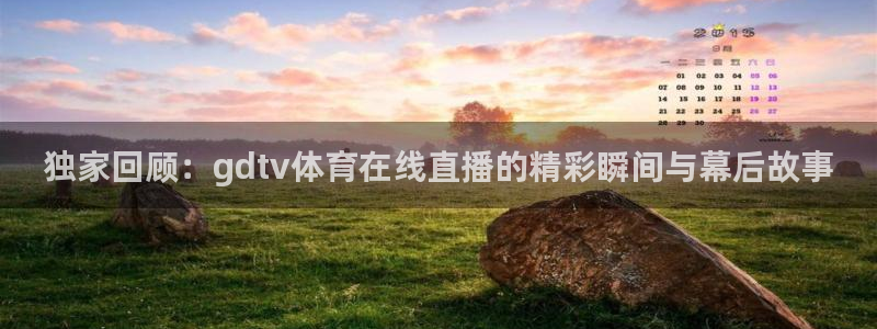 独家回顾：gdtv体育在线直播的精彩瞬间与幕后故事
