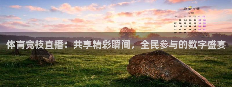 体育竞技直播：共享精彩瞬间，全民参与的数字盛宴