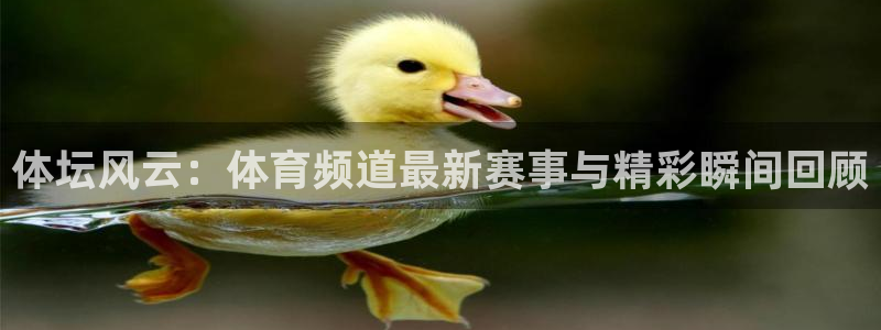 体坛风云：体育频道最新赛事与精彩瞬间回顾