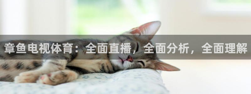章鱼电视体育：全面直播，全面分析，全面理解