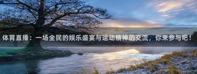 体育直播：一场全民的娱乐盛宴与运动精神的交流，你来参与吧！