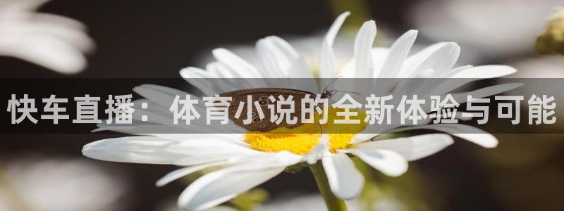 快车直播：体育小说的全新体验与可能