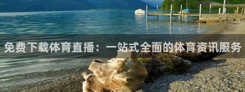 免费下载体育直播：一站式全面的体育资讯服务