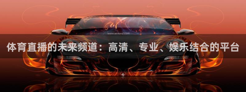 体育直播的未来频道：高清、专业、娱乐结合的平台