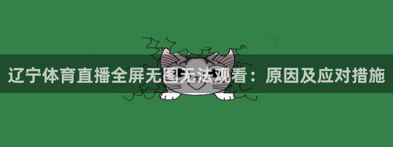 辽宁体育直播全屏无图无法观看：原因及应对措施