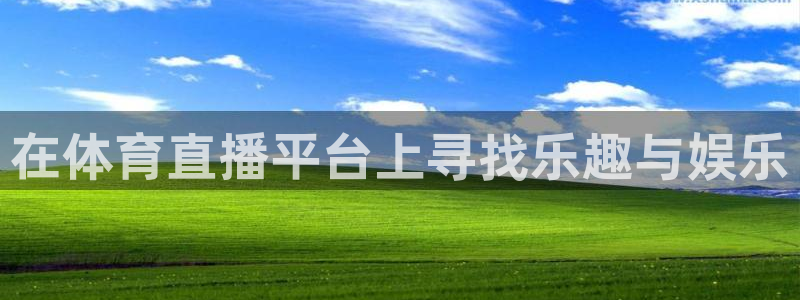 在体育直播平台上寻找乐趣与娱乐