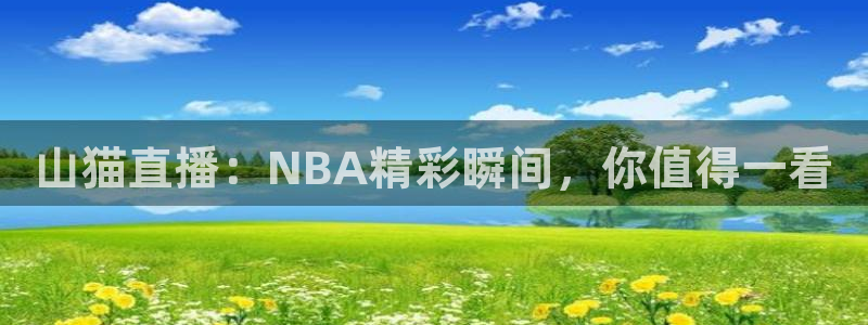 山猫直播：NBA精彩瞬间，你值得一看